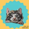 Realistic multicolored cat Iron-on Embroidery