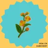 Orange and Yellow Poppy Flower Iron-on Embroidery